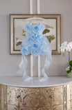 Rosina Dress
