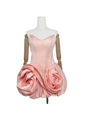 Anastelle Dress (On hand)