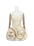 Anastelle Dress (On hand)