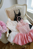 Syria Dress